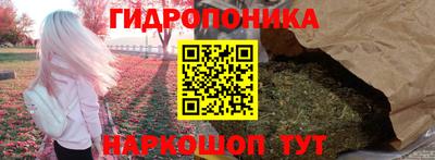 скорость Кохма