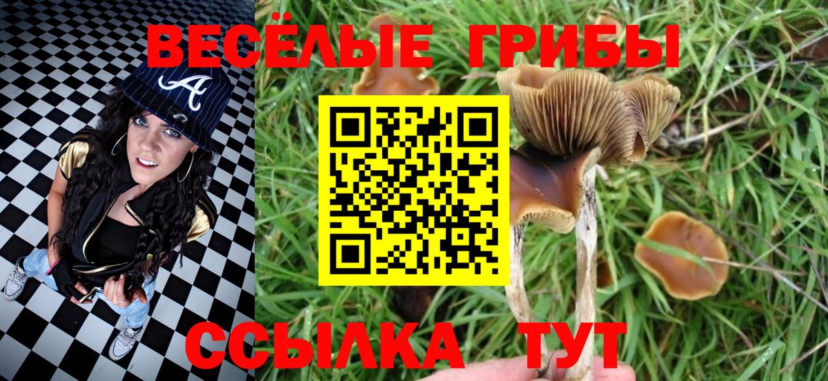 Псилоцибиновые грибы прущие грибы  Вход с VPN  Луга  Галлюциногенные грибы прущие грибы 