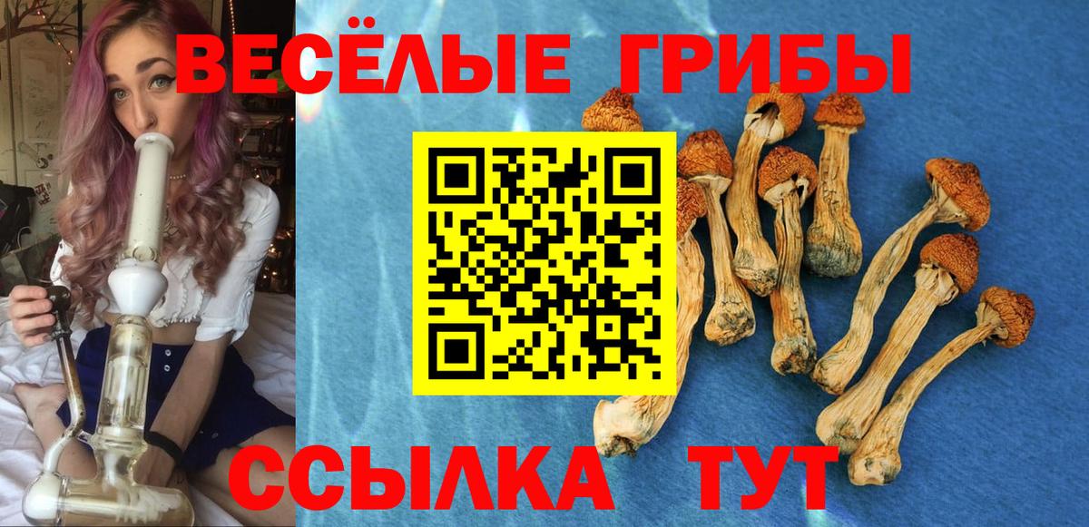 МДМА Луга